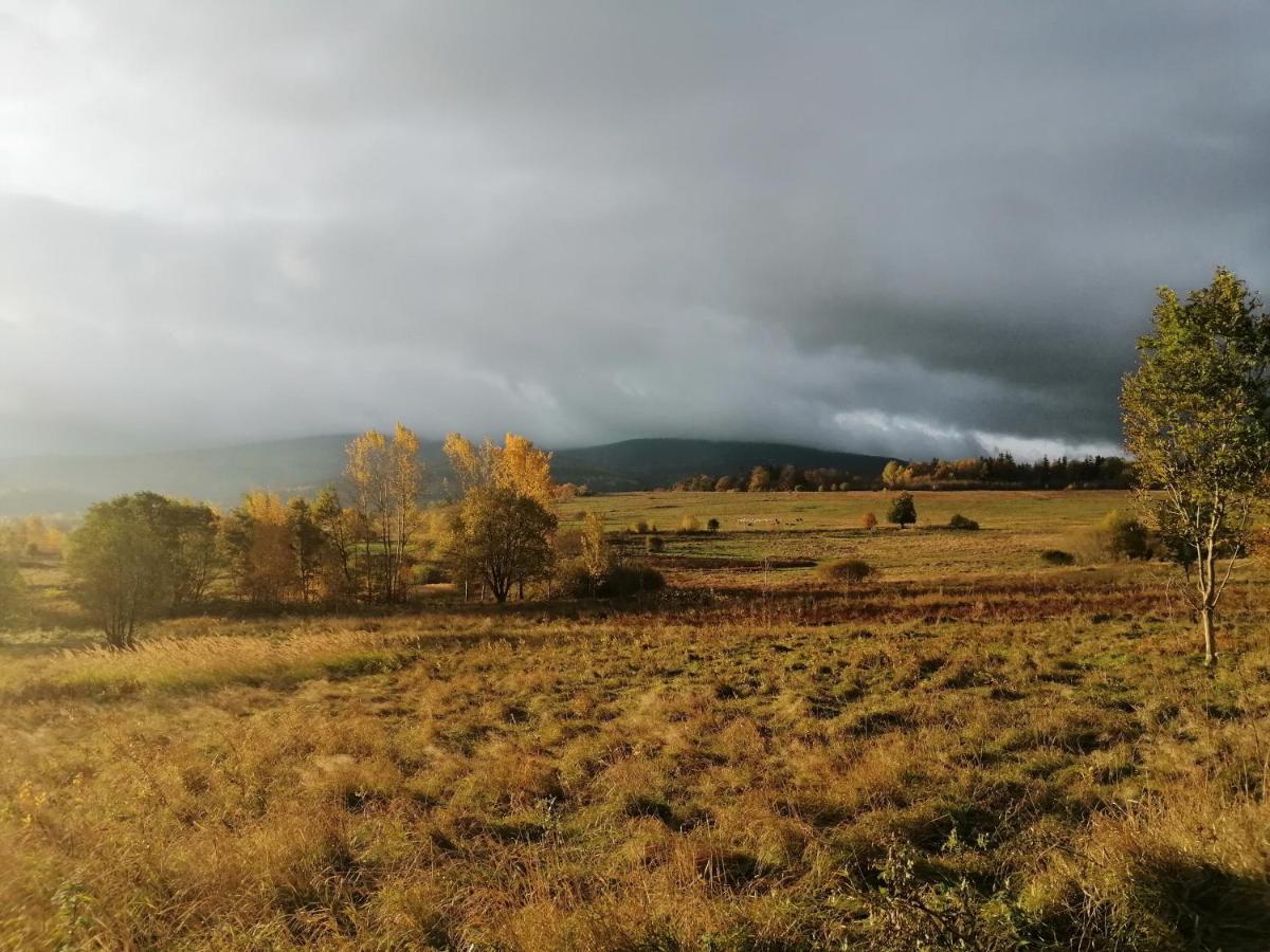 Pokoje Goscinne Przy Lesie Pobiedna Buitenkant foto