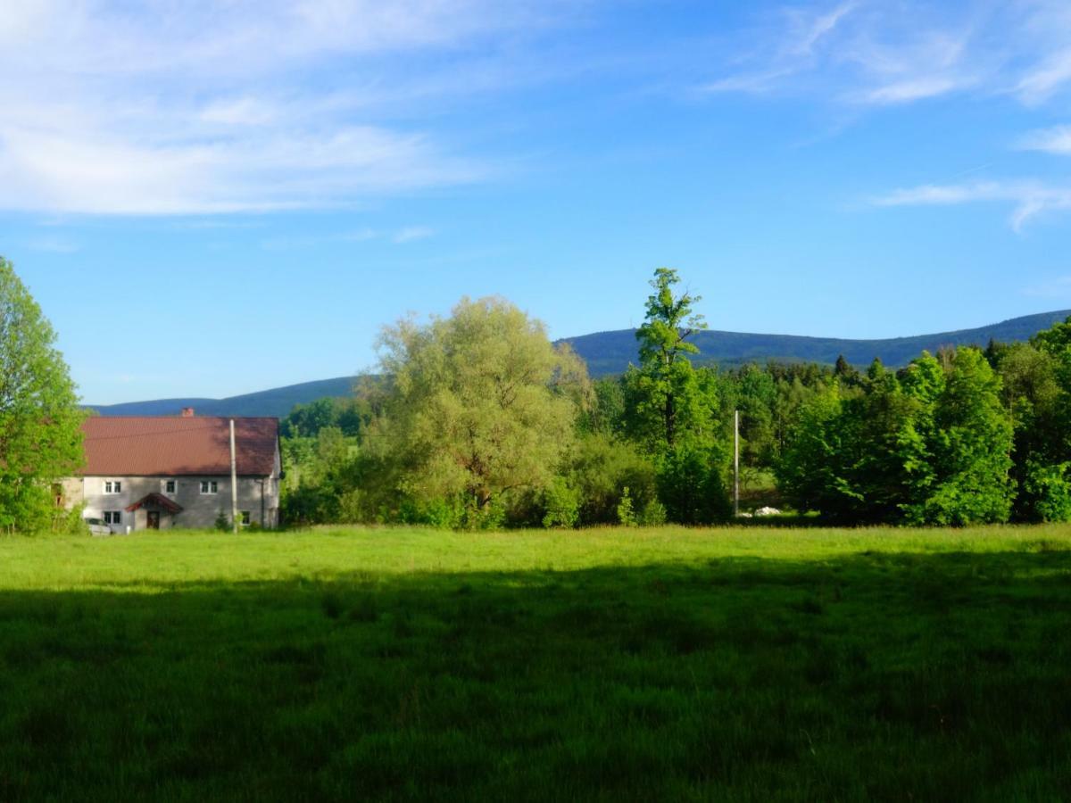Pokoje Goscinne Przy Lesie Pobiedna Buitenkant foto