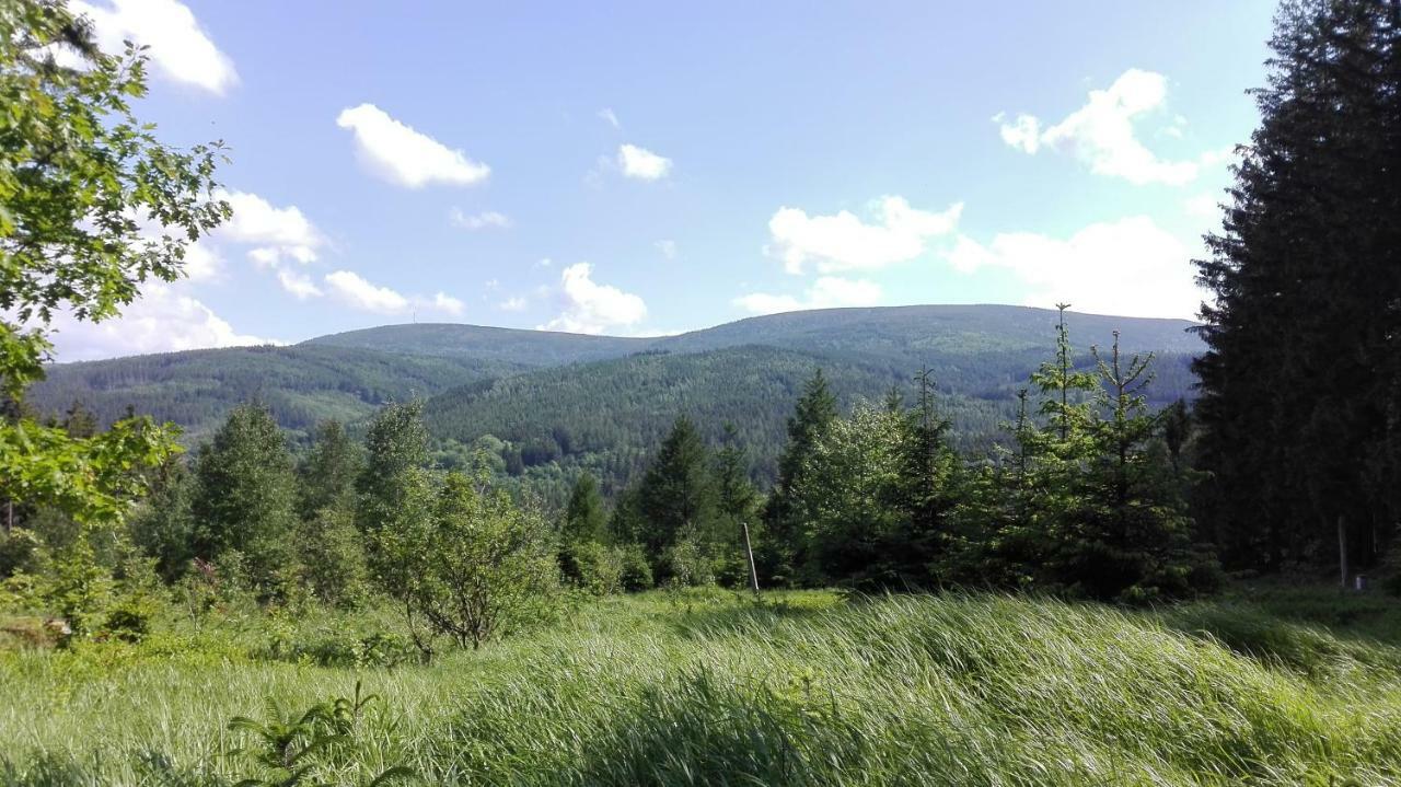 Pokoje Goscinne Przy Lesie Pobiedna Buitenkant foto