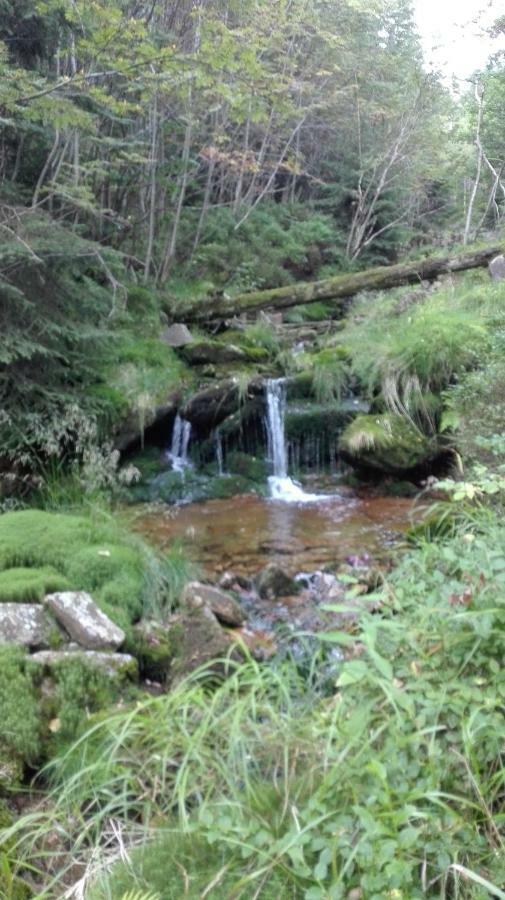 Pokoje Goscinne Przy Lesie Pobiedna Buitenkant foto